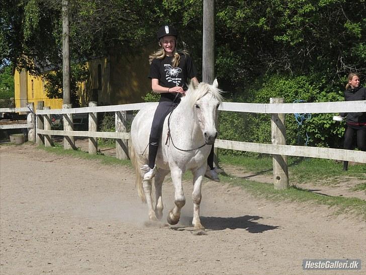 Anden særlig race Don-karlos   - 6# Don-karlos og jeg rider i cordeo:) Foto : IT Foto/Ida Tømming:) billede 6