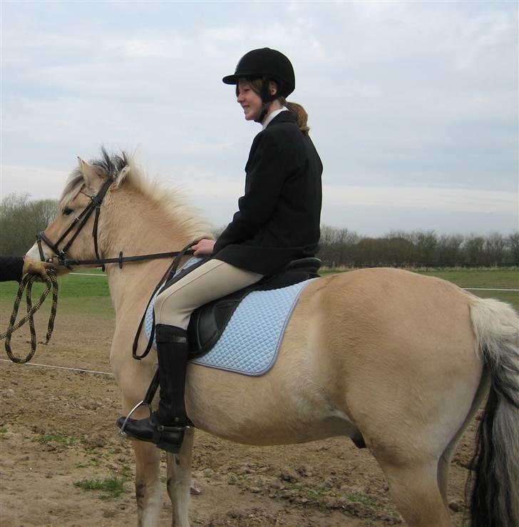 Fjordhest Titus - Doh xP Titus springer rundt inde på banen owO Taget efter ;P billede 14