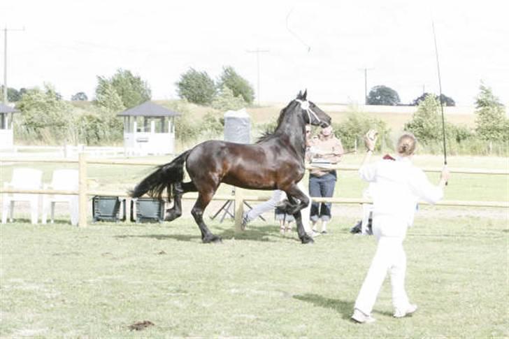 Frieser Rommert (Ik min mere) - Kåring... billede 16