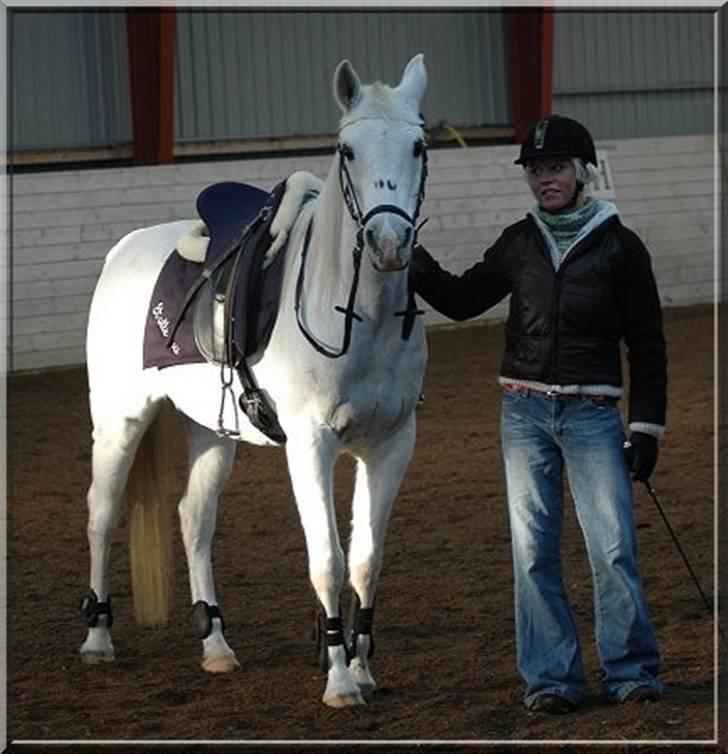 Arabisk fuldblod (OX) *Ballerina OX* *R.I.P.* 15-02-07 billede 5