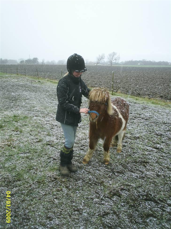 Anden særlig race Osvald (opr. af passer) - Jeg smiler IKKE!!!!!!!. billede 13