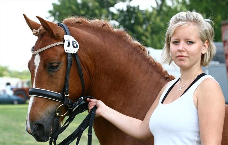 New Forest Fencer Blue Skønager - Mig og min dejlige dreng til Gørlev dyreskue, Eksteriør bedømmelse fik 23 point gik fløj med ærespræmie :D Af Camilla Rosenlund / CR-FOTO billede 18