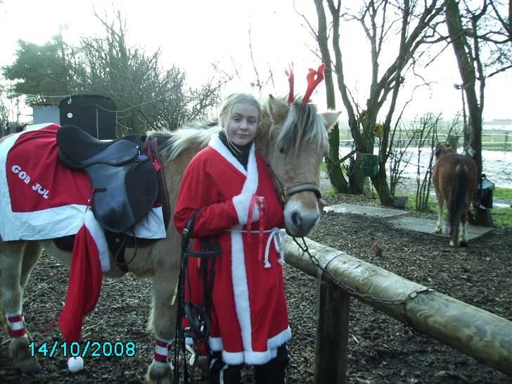 Anden særlig race Kiki (Gamle part) - Her har vi så mig og den dejlige hoppe ;) Fotograf: Maria tror jeg nok ;D billede 7