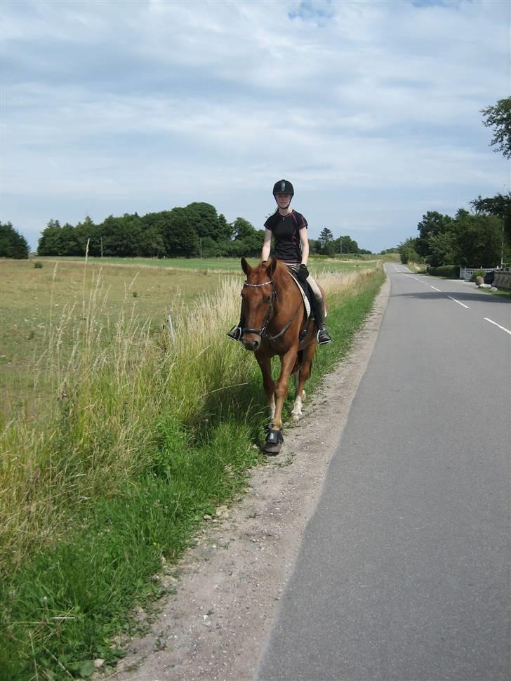 Frederiksborg Rubin billede 3