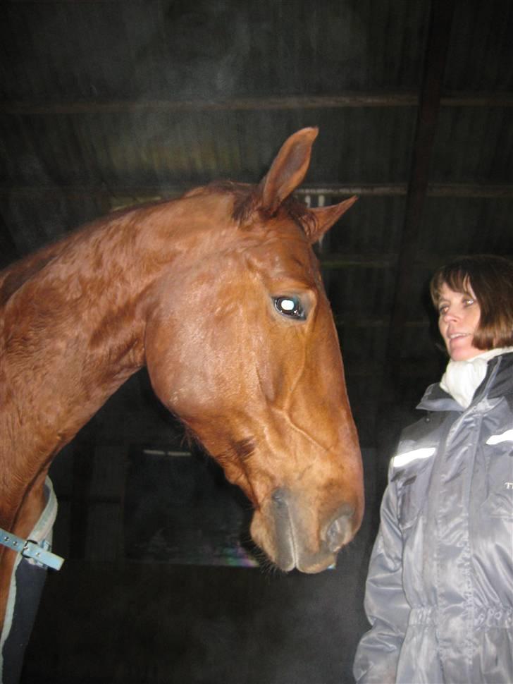 Frederiksborg Rubin billede 4