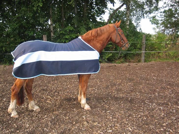 Frederiksborg Rubin billede 6