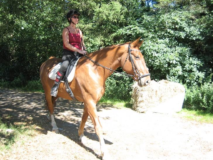 Frederiksborg Rubin billede 9