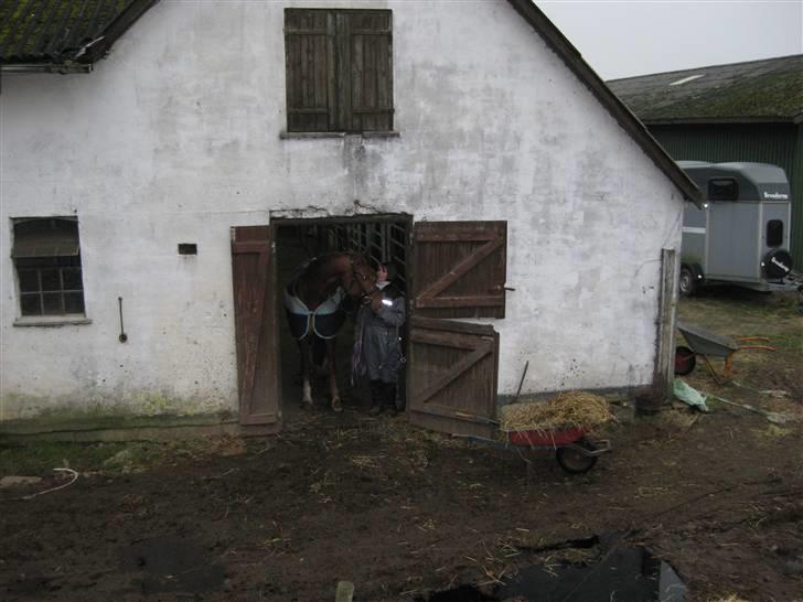 Frederiksborg Rubin billede 10