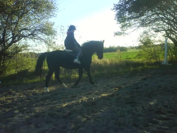Oldenborg Bertha  billede 5