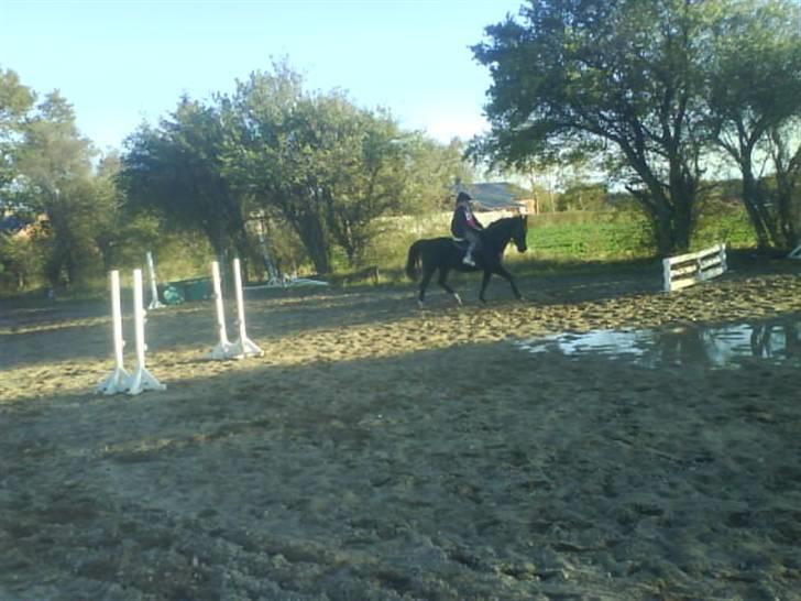 Oldenborg Bertha  billede 6