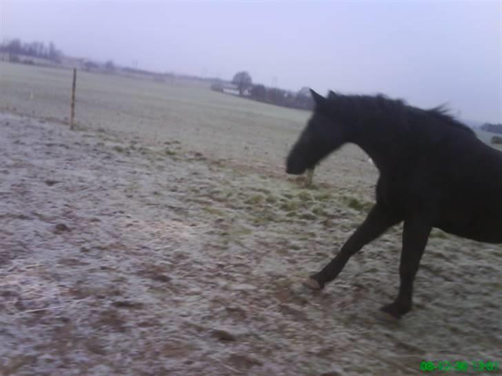 Oldenborg Bertha  billede 7