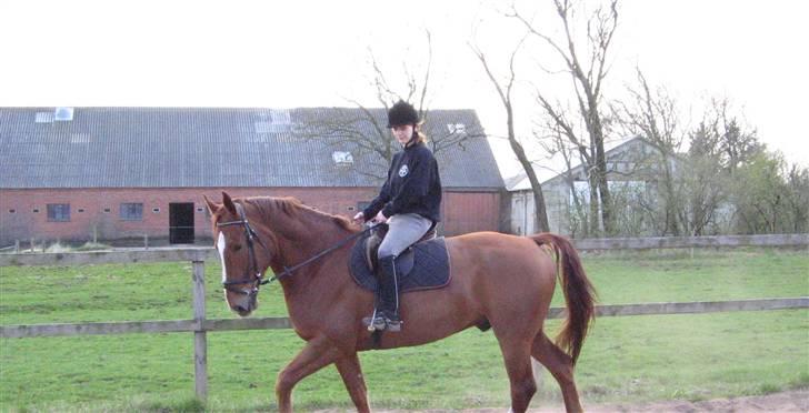 Anden særlig race kasper - min storsøster ride hende. billede 4