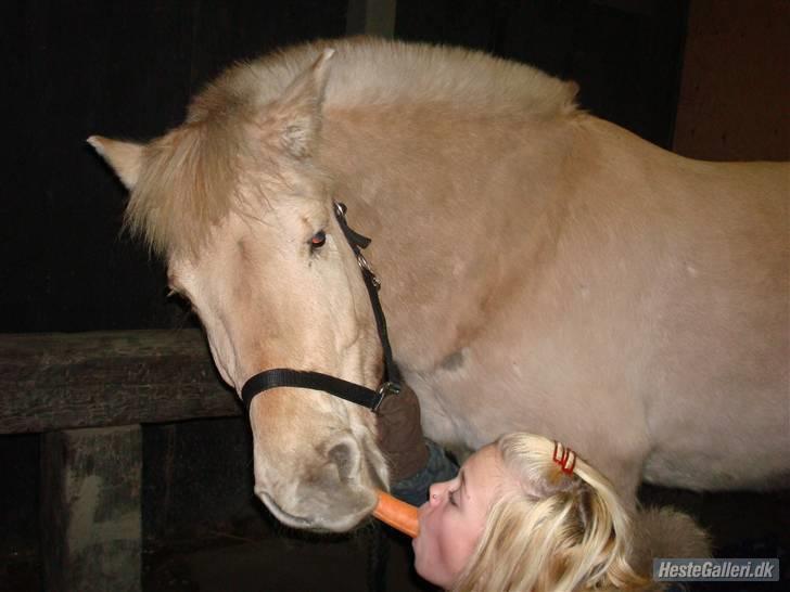 Anden særlig race Raz * SOLGT/TILBAGESENDT* billede 17