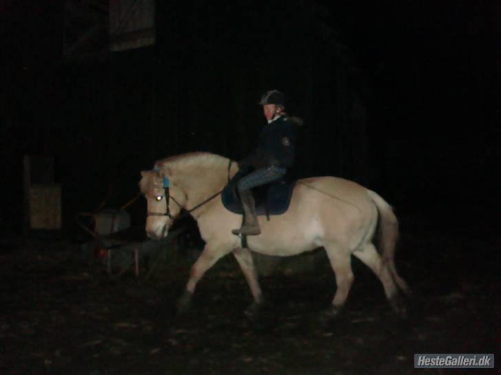 Anden særlig race Raz * SOLGT/TILBAGESENDT* billede 18