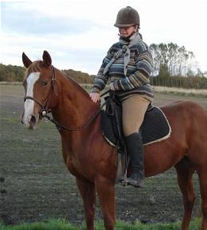 Anden særlig race kasper billede 5