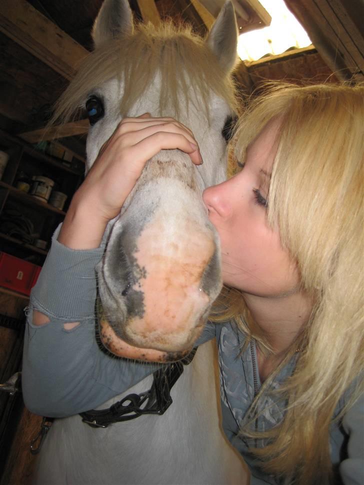 Anden særlig race Sofus - Sofus og jeg, for nogle år siden billede 2