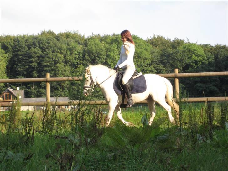 Anden særlig race Sofus billede 4