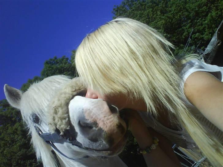 Anden særlig race Sofus billede 7