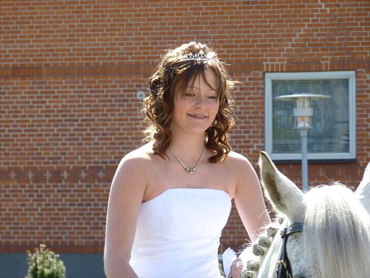 Anden særlig race Moonlight - Moonlight&Safir<3 billede 6