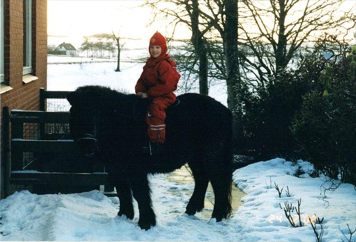 Anden særlig race Sille - Foto: Mor billede 6