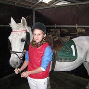 Anden særlig race Ice Cube