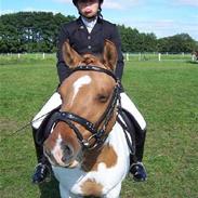 Anden særlig race Troja (SOLGT)