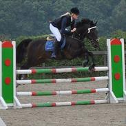 Tysk Sportspony TIGER WOODS (SOLGT!)