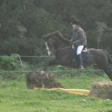 Anden særlig race Firenze