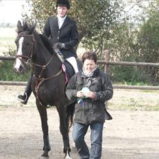 Anden særlig race Firenze