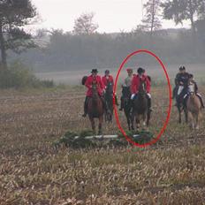 Dansk Varmblod Sabrina Sold