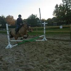 Anden særlig race Luna<3 (GL-part)