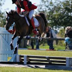 Anden særlig race FlyingSuprice A-pony