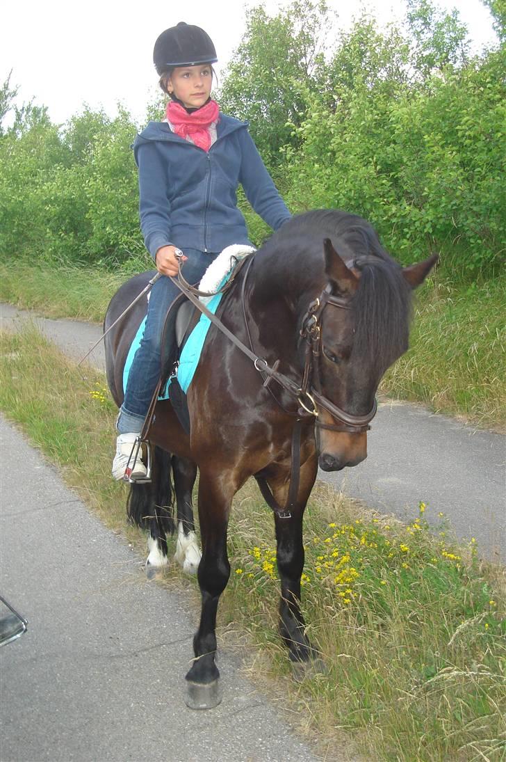 Anden særlig race Fandango SOLGT!! :'( - Her er vi på vej hjem efter en lang tur i grusgraven :) - foto; Ulla.  billede 13