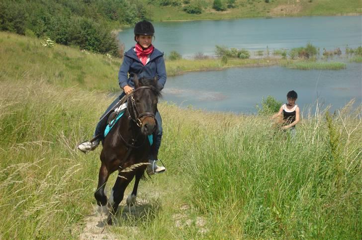 Anden særlig race Fandango SOLGT!! :'( - Jeg elsker at løbe på tur! Foto; LLJ. billede 15