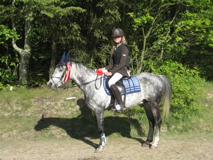 Anden særlig race Black Star - B pony<3 - <3 billede 9