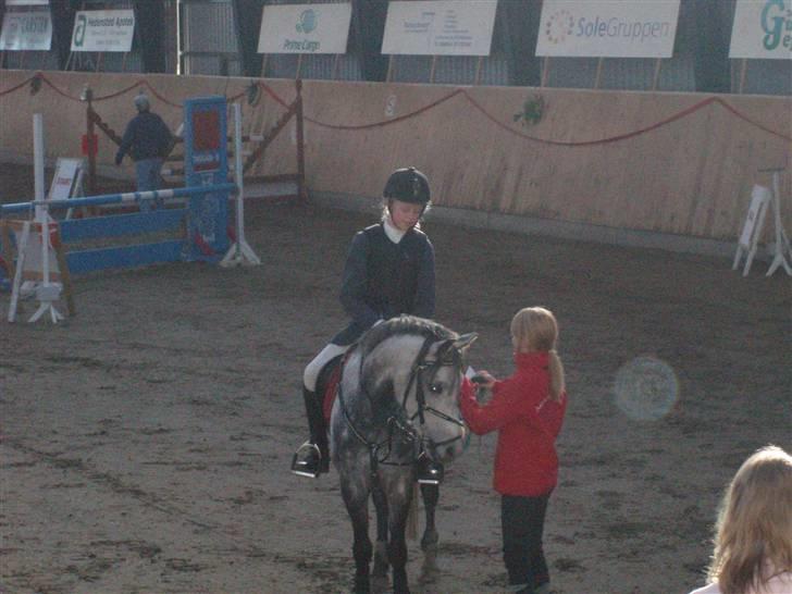 Anden særlig race Black Star - B pony<3 - første landstæven.4 plads i m.b <3 billede 10