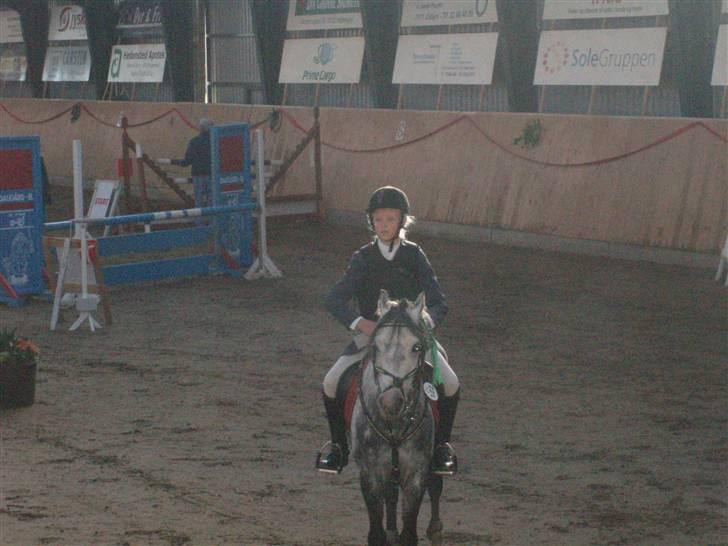 Anden særlig race Black Star - B pony<3 - første landstæven. 4 plads i m.b billede 11