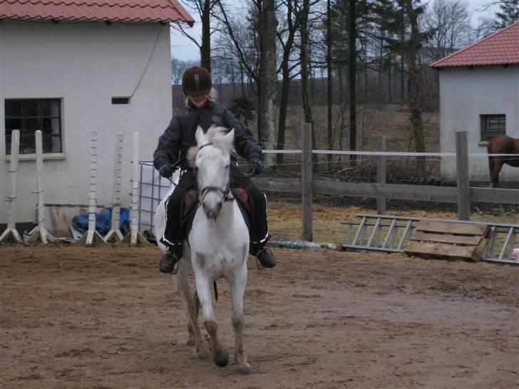 DSP Flicka - SOLGT billede 15