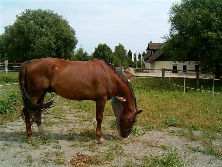 Oldenborg dirty harry - foto  min far billede 17