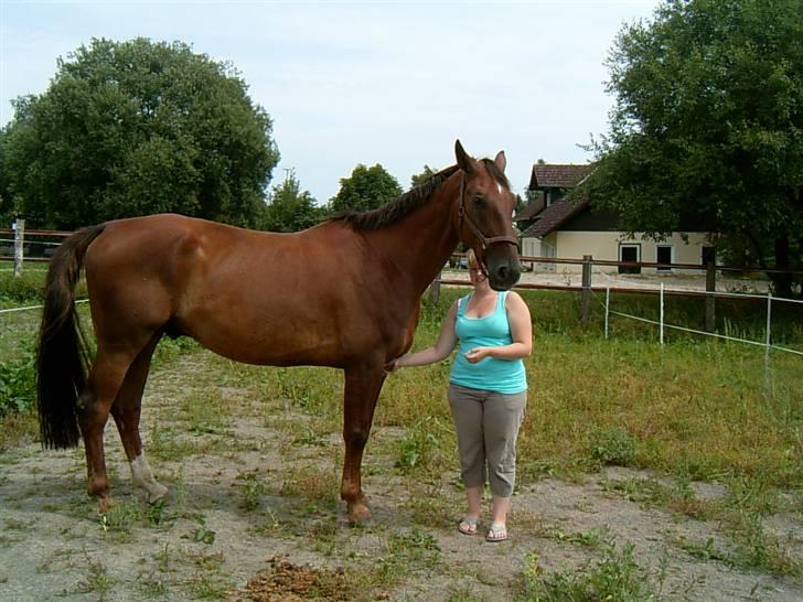 Oldenborg dirty harry - foto  min far billede 18