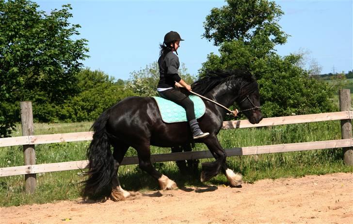 Anden særlig race Pippi - Galop. Elsker billedet.. Pippi er så smuk billede 17