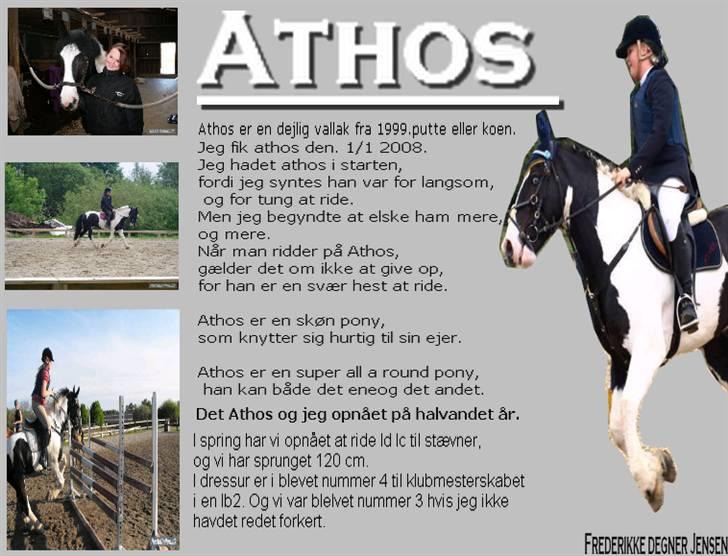 Irish Cob athos<333 - Skilt om athos <3 billede 17