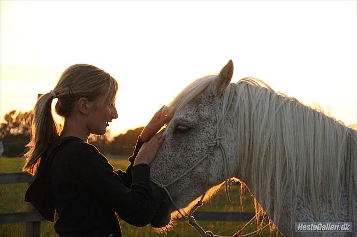 Anden særlig race Don-karlos   - 13# Solned gang med dig:) Foto : Jeanett Nørgaard:) billede 13