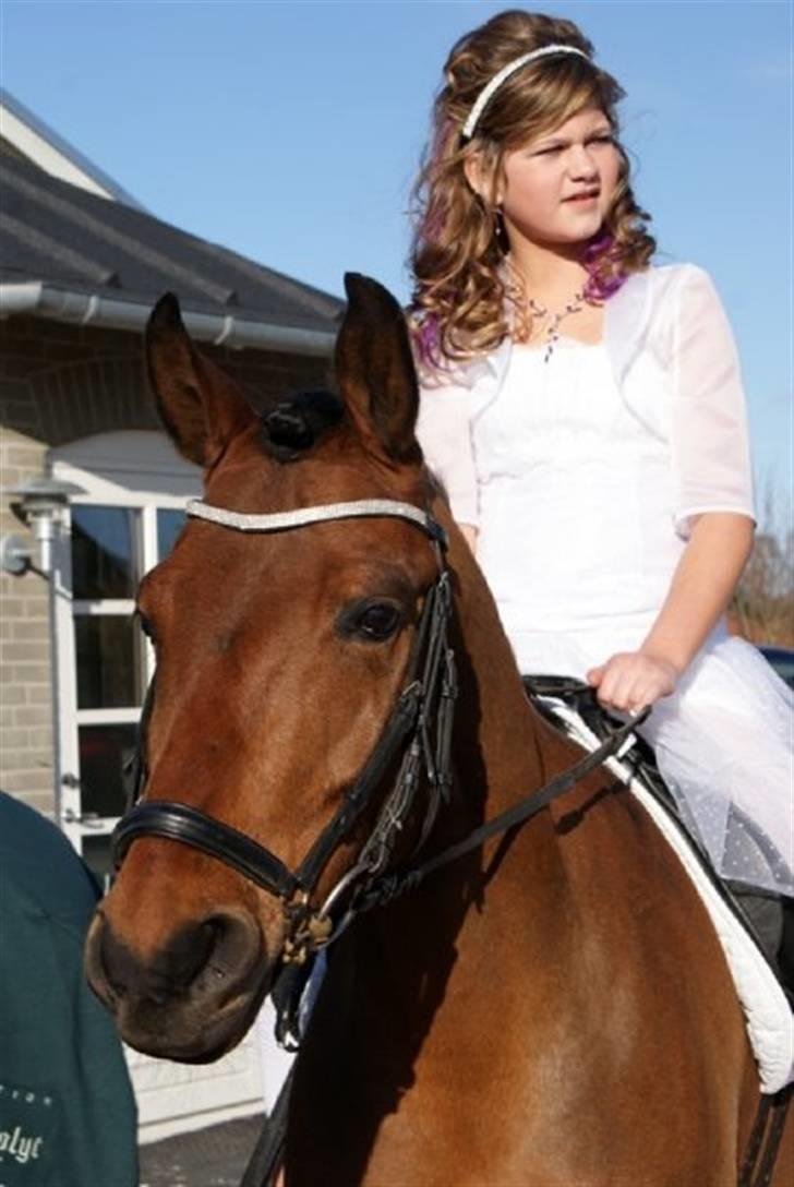 DSP Lanciano Kærlund A-PONY - kærlund til min konfirmation billede 20
