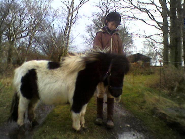 Anden særlig race Lasse * solgt * - Lasse og mia ;p billede 7