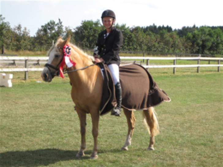 Hollandsk Sportspony  Calibra - solgt..RIP :-( - . da vi blev klubmester i dressur 2009. fotograf; ? billede 7