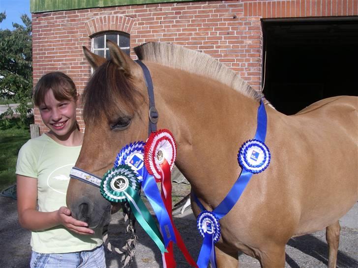 Anden særlig race Flower Girl - Vi var på distrikt 5s dressurhold og blev sjællandsmestre i aug. 2008 billede 1