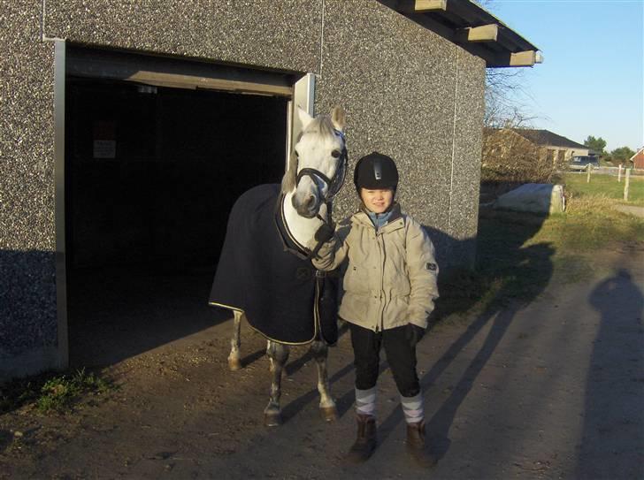 Welsh Pony (sec B) Skovbjergs Bacardi - jeg tror jeg her fået øje på noget billede 2