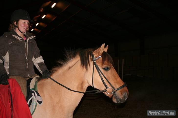 Anden særlig race Tulle - total forskrækket tak for billederne stephanie billede 15