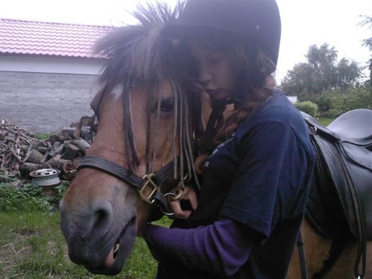 Anden særlig race Luna<3 (GL-part) billede 2